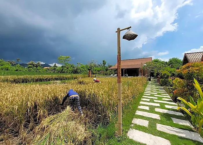 Umma Bali Menjangan Retreat Ferienpark Goris