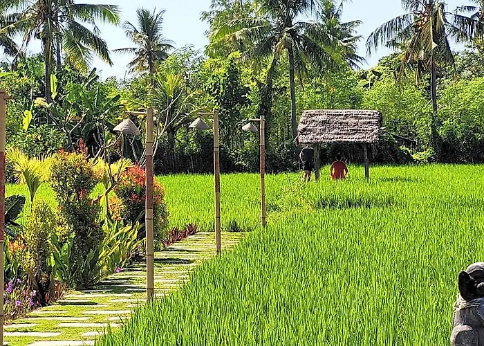 Umma Bali Menjangan Retreat ホリデーパーク