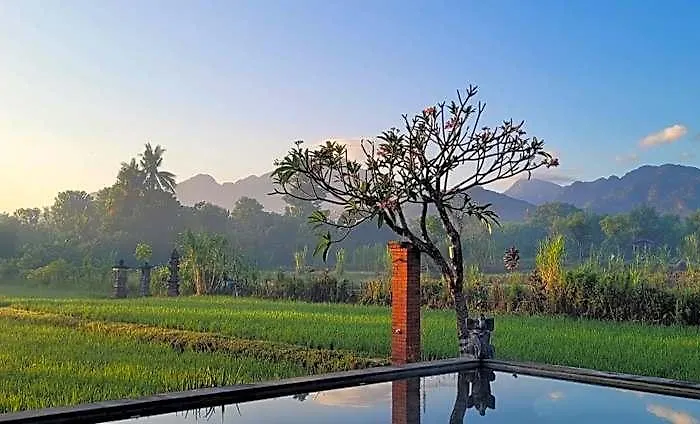 Umma Bali Menjangan Retreat *