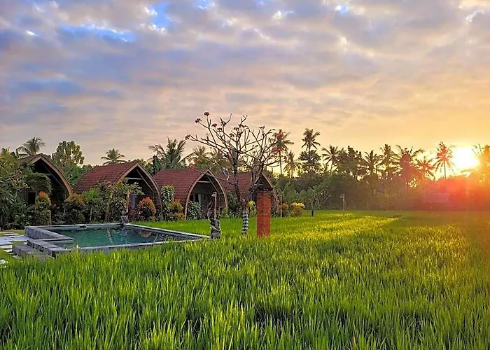 Umma Bali Menjangan Retreat ホリデーパーク