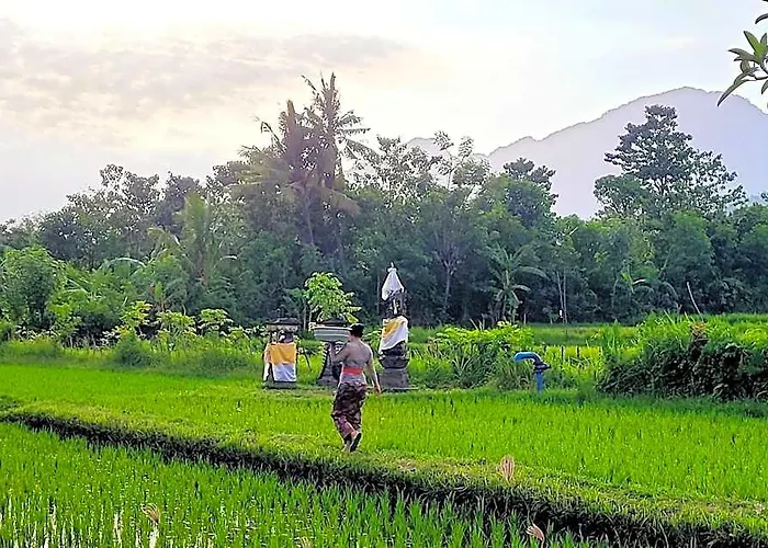 Umma Bali Menjangan Retreat * Goris