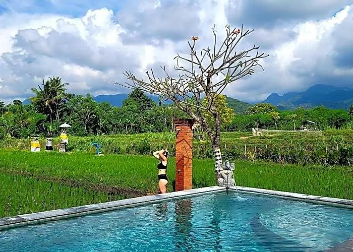 Umma Bali Menjangan Retreat
